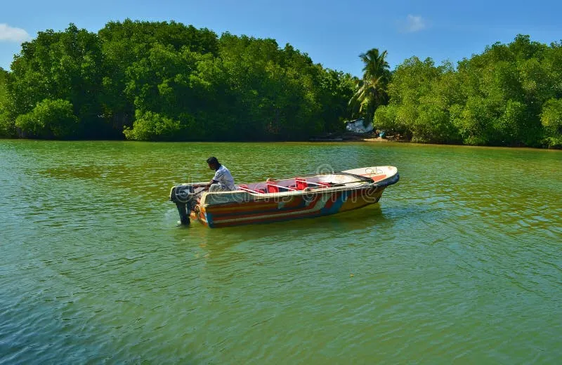 Top 10 Things to Do Around Sapphire Escape Villa – From Beaches to Rainforests